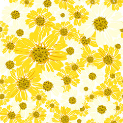 sunflower seamless pattern vector image
