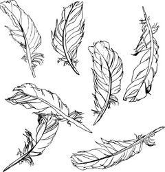 Hand drawn feathers set on white background Vector Image