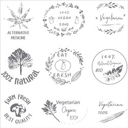 Hand drawn labels and elements collection vector