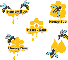 Honey bee logo template icon vector