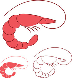 Flat of shrimp isolated on white Royalty Free Vector Image