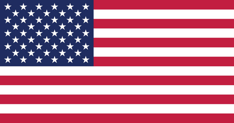 United States Flag Vector Image