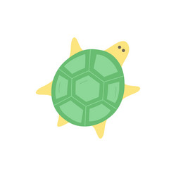 Turtle cute vector