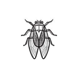 Fly hand drawn sketch icon vector