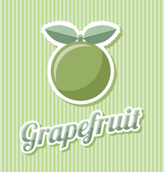 retro grapefruit with title on striped background vector