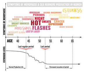 Stages of menopause infographic vector