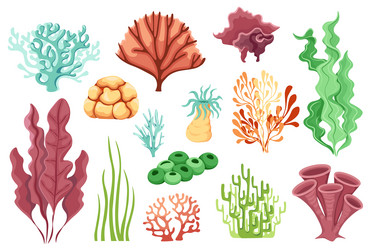 Marine Coral Reef Icons Vector Image