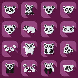 flat concept set modern design with shadow pandas vector image