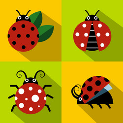 ladybug icons in flat style on color background vector image