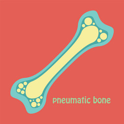 Free Human Bone Marrow Vector Images (48) Free Human Bone Marrow Vector Images (48)