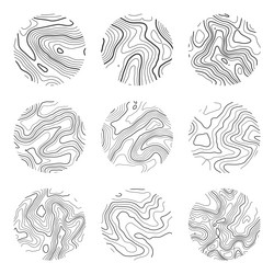 Topographic Contour Map vector image