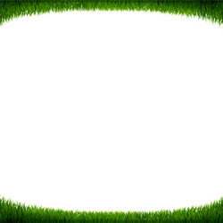 green grass frame white background vector