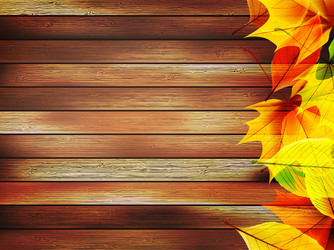 Rustic Autumn Leaves on Wood vector