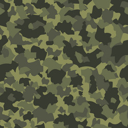Camouflage seamless pattern Royalty Free Vector Image