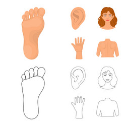 Isolated object body and part icon collection vector