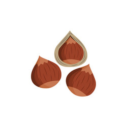 Brown hazel nuts with and without shell - isolated vector