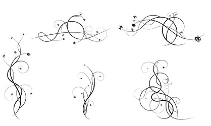 Ornament elements curl grape design image vector