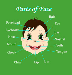 Body Parts Diagram Poster Royalty Free Vector Image teh eye diagram label 