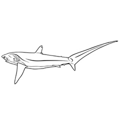 Free Free 118 Outline Shark Fin Svg SVG PNG EPS DXF File
