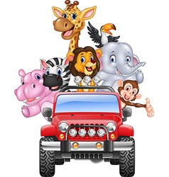 Car Wash Near Mascot Car Wash Near Mascot