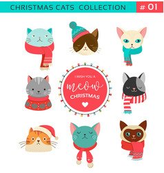 Cute fashion Hipster Animals pets Royalty Free Vector Image