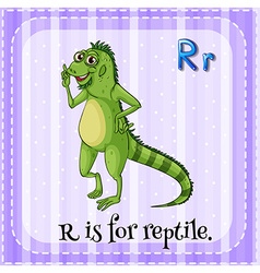 Iguana Flashcard Vector Images (25)