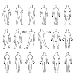 Full length front back silhouette of man Vector Image