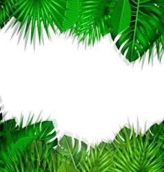 summer background