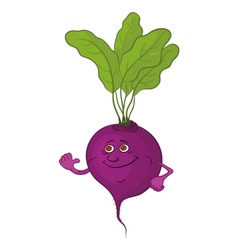 Beet Vector Images (over 2,310) - VectorStock