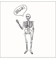 Happy skeleton Royalty Free Vector Image - VectorStock
