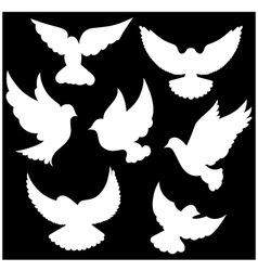 Download Feather set Royalty Free Vector Image - VectorStock