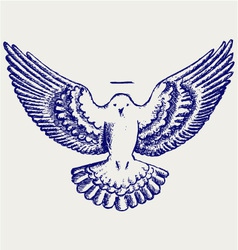 Download Feather set Royalty Free Vector Image - VectorStock