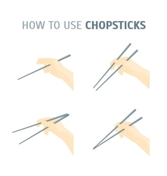 How to use chopsticks guidance Royalty Free Vector Image