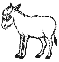 Braying donkey Royalty Free Vector Image - VectorStock