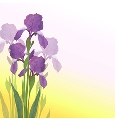 Purple hibiscus essay