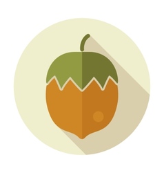 Hazelnut Royalty Free Vector Image - VectorStock