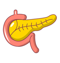 Pancreas Vector Images (over 710)