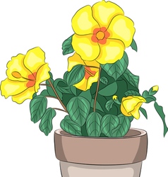 Pot Vector Images (over 28,100) - VectorStock