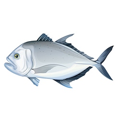 Giant Trevally Side Isolated Tribal Art Royalty Free Vector