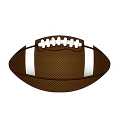 American Football Ball Isolated on Withe Vector Image