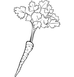 Download Celery vegetable cartoon for coloring book Vector Image