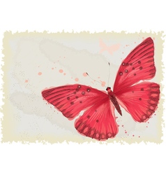Download Butterfly Royalty Free Vector Image - VectorStock
