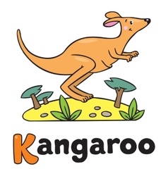 little kangaroo for abc alphabet k vector image