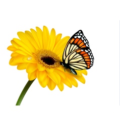 Free Free 76 Silhouette Sunflower Butterfly Svg SVG PNG EPS DXF File
