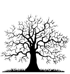 Download Trees without leaves silhouette Royalty Free Vector Image