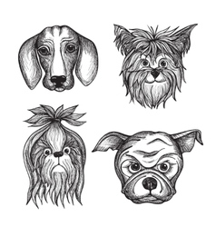 Dog Royalty Free Vector Image - VectorStock
