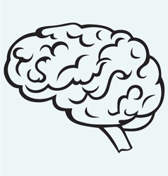 brain vector