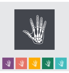Human skeleton hand Royalty Free Vector Image - VectorStock