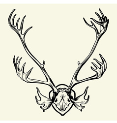 Download Deer & Skull Vector Images (over 390)