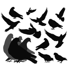 Download Group of feather Royalty Free Vector Image - VectorStock